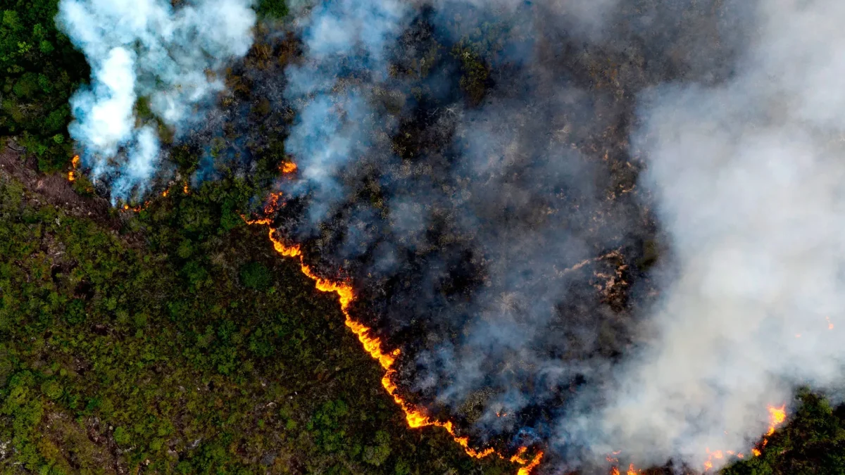Wildfires Management with Remote Sensing Technology